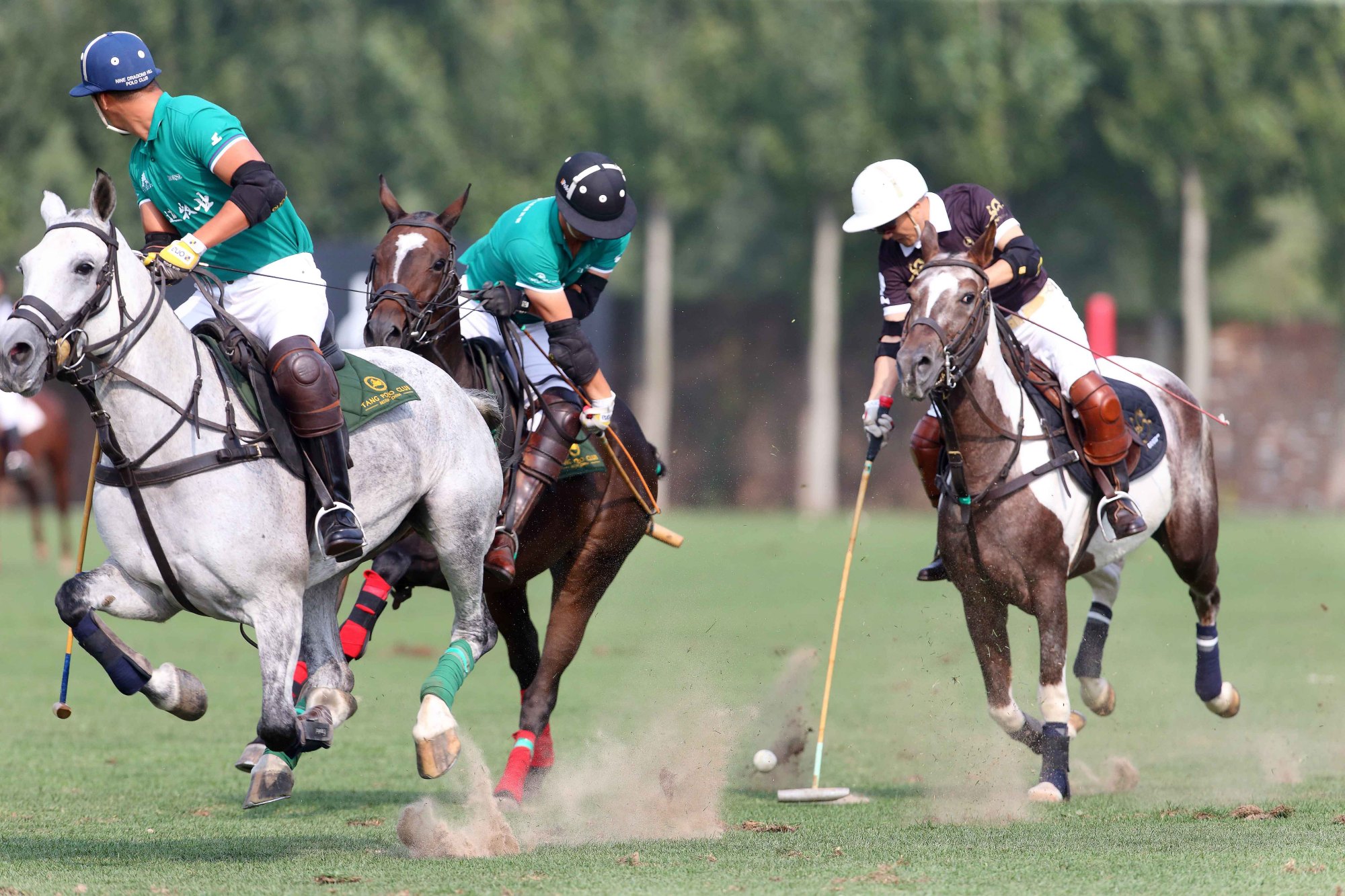 包含基耶沃主场告捷，球队备战下一轮比赛的词条