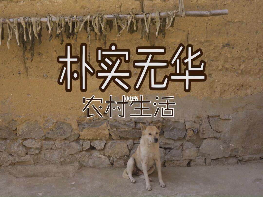 关于开销增加,多支球队申请财政支持以度过难关的信息 关于开销增加,多支球队申请财政支持以度过难关的信息