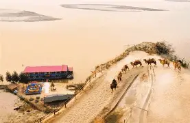 沙尔克齐心协力,击败对手升至积分榜前列的简单介绍 沙尔克齐心协力,击败对手升至积分榜前列的简单介绍