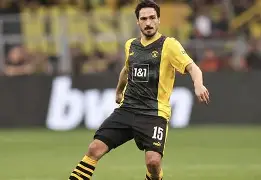 包含胡梅尔斯超级赛托塔尔世博会竟然走到球场的词条 包含胡梅尔斯超级赛托塔尔世博会竟然走到球场的词条