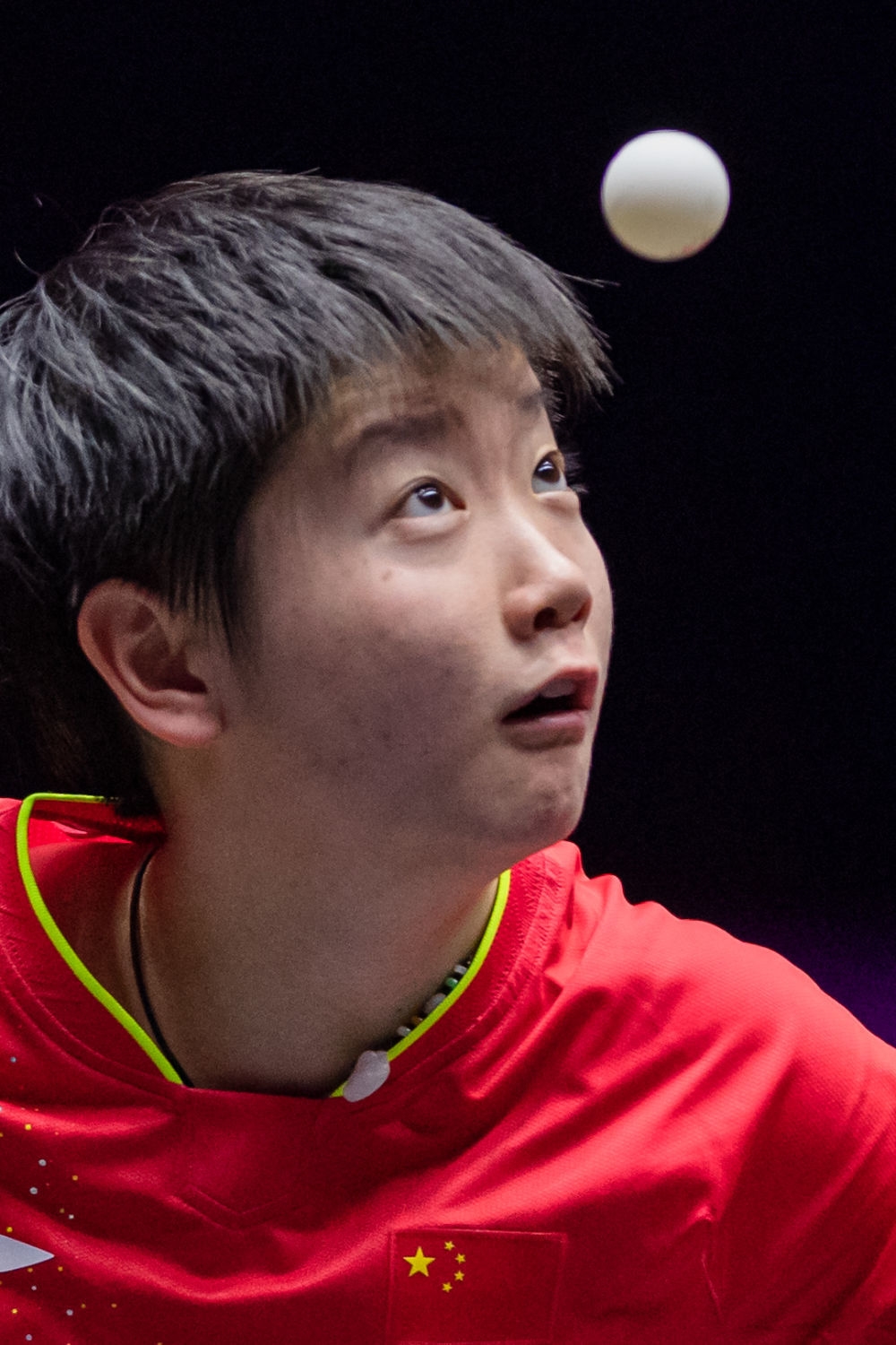 波多黎各选手创造历史,赢得赞誉 波多黎各选手创造历史,赢得赞誉