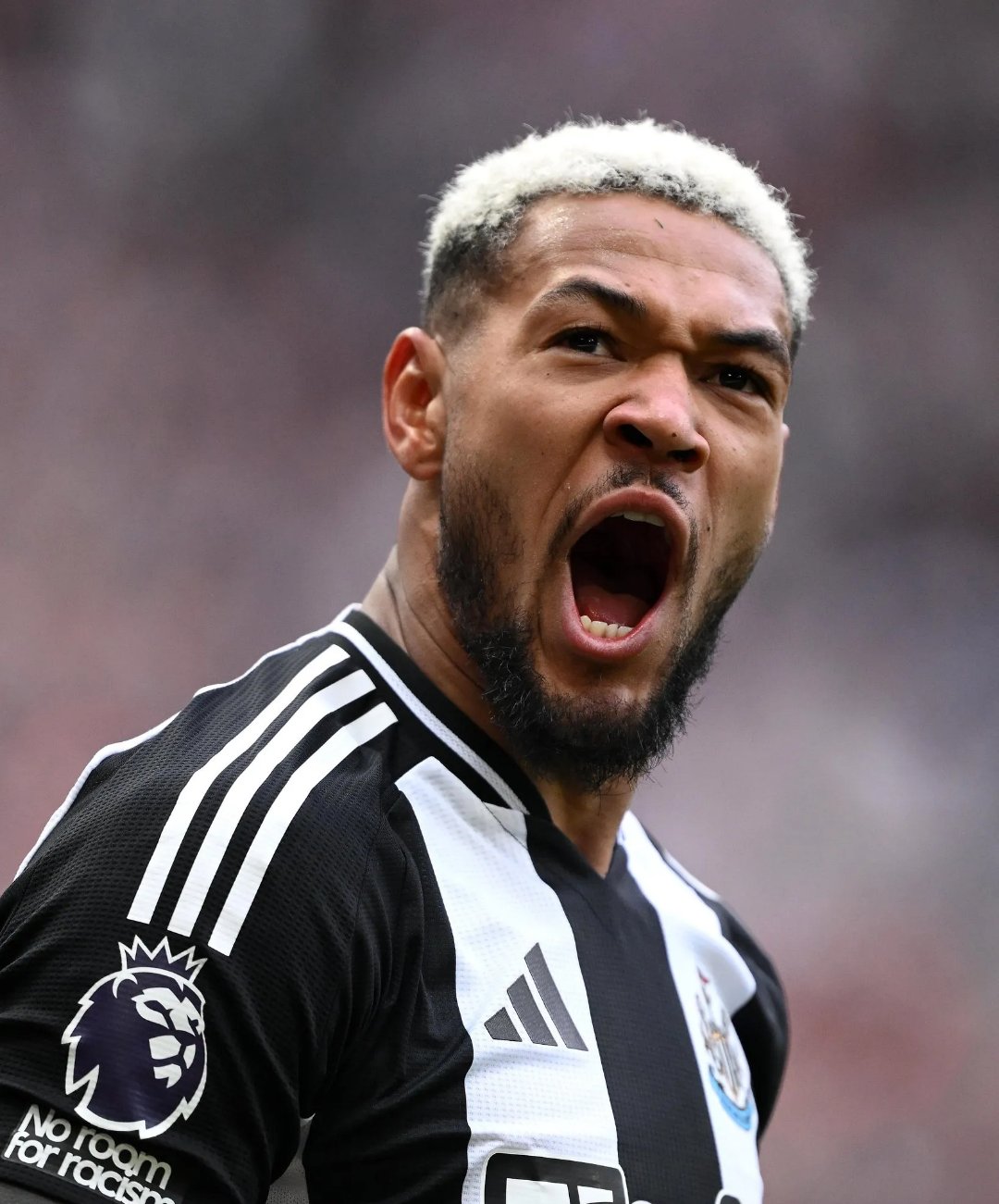 纽卡斯尔惊险获胜,全场观众叫好 纽卡斯尔惊险获胜,全场观众叫好