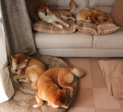 暴风雨中的唯一救赎，格纳布里绝境奇迹点燃哥本哈根之夜